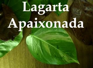 Lagarta Apaixonada